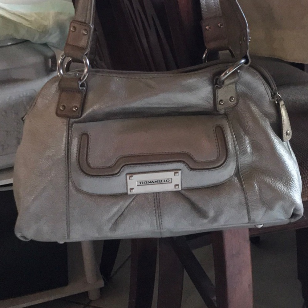 Tignanello Silver With Gold Purse